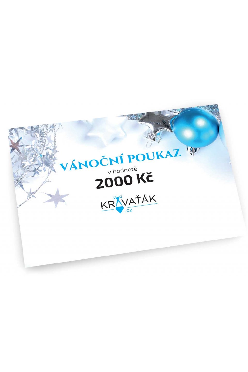 42621_2000-vizual-na-web-elektronicka